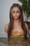 Straight Highlight Frontal Wig (13x4 HD Lace)